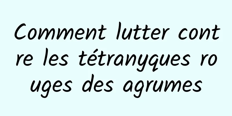 Comment lutter contre les tétranyques rouges des agrumes