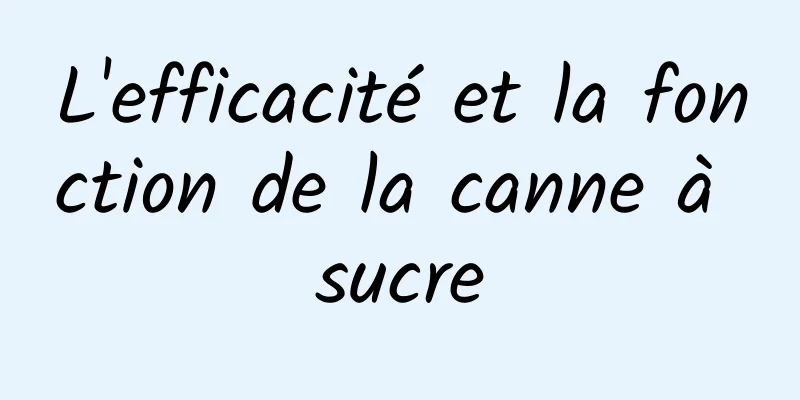 L'efficacité et la fonction de la canne à sucre