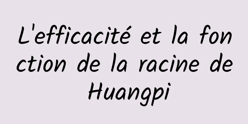 L'efficacité et la fonction de la racine de Huangpi