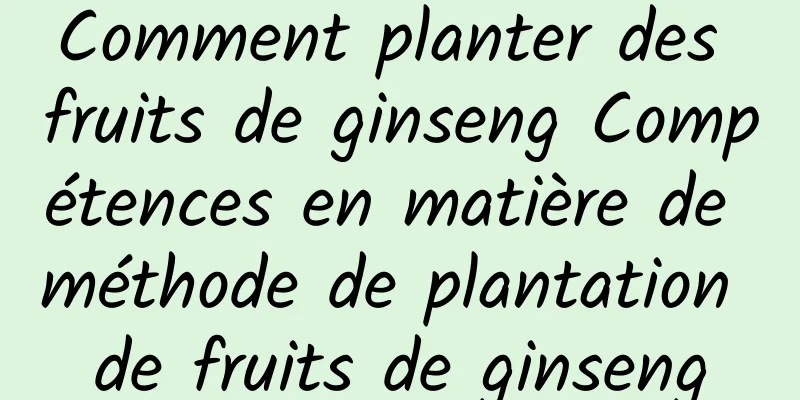 Comment planter des fruits de ginseng Compétences en matière de méthode de plantation de fruits de ginseng