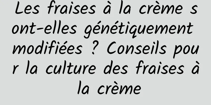 Les fraises à la crème sont-elles génétiquement modifiées ? Conseils pour la culture des fraises à la crème