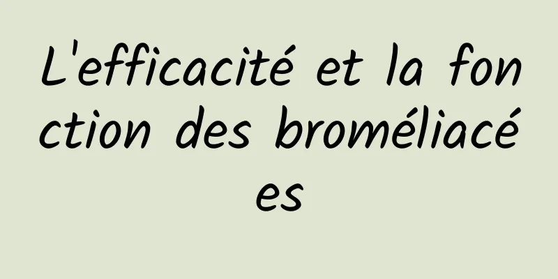 L'efficacité et la fonction des broméliacées