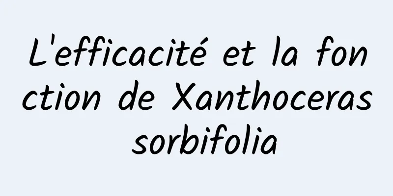 L'efficacité et la fonction de Xanthoceras sorbifolia