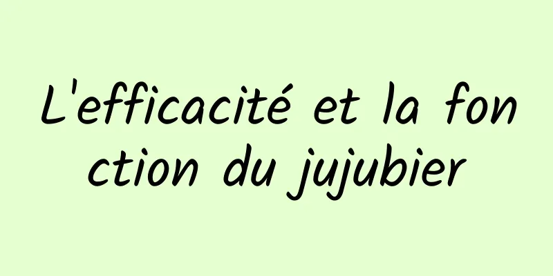 L'efficacité et la fonction du jujubier