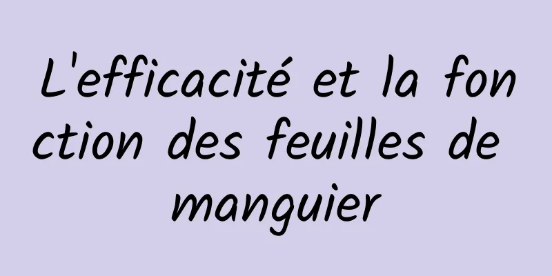 L'efficacité et la fonction des feuilles de manguier