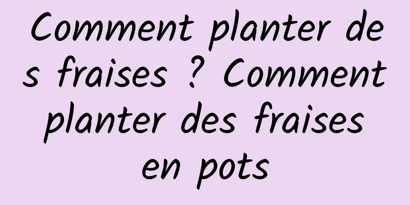 Comment planter des fraises ? Comment planter des fraises en pots