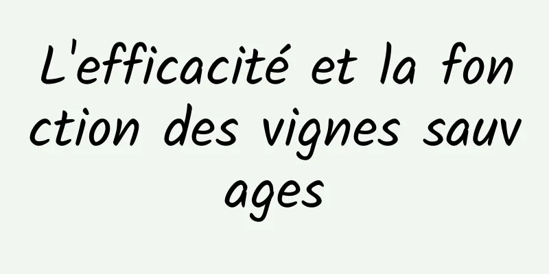 L'efficacité et la fonction des vignes sauvages