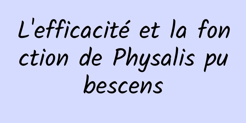 L'efficacité et la fonction de Physalis pubescens