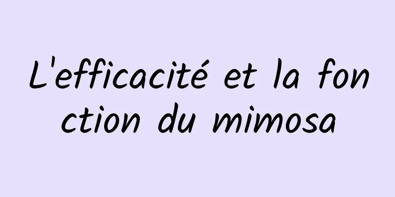 L'efficacité et la fonction du mimosa