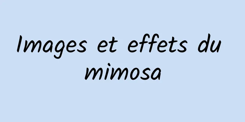 Images et effets du mimosa