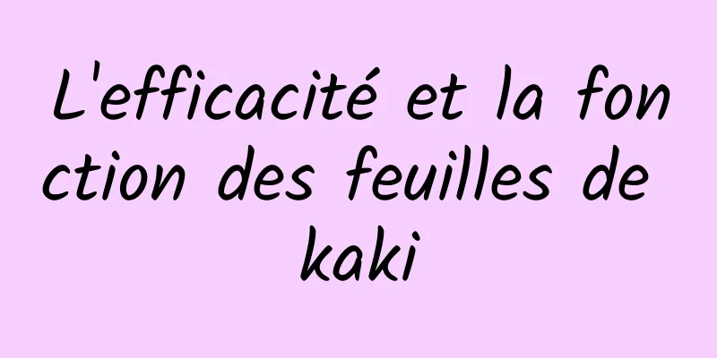 L'efficacité et la fonction des feuilles de kaki