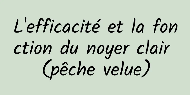 L'efficacité et la fonction du noyer clair (pêche velue)