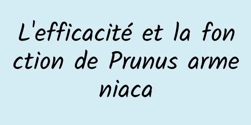 L'efficacité et la fonction de Prunus armeniaca