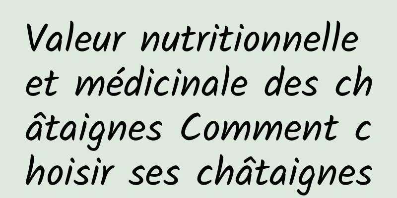 Valeur nutritionnelle et médicinale des châtaignes Comment choisir ses châtaignes