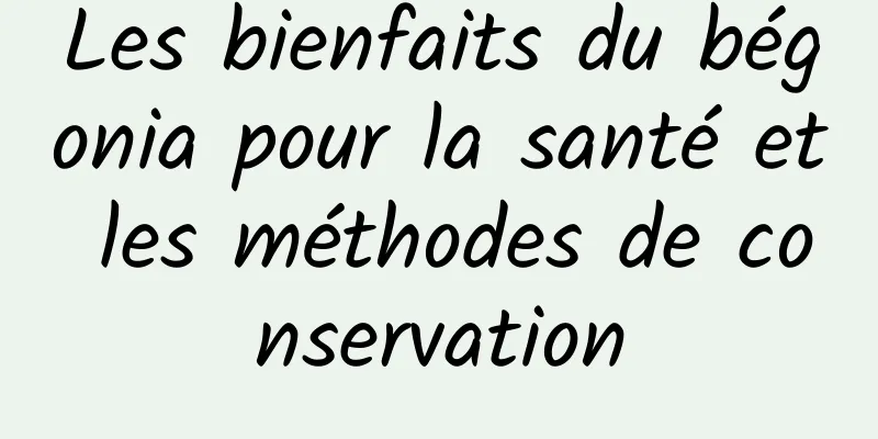 Les bienfaits du bégonia pour la santé et les méthodes de conservation