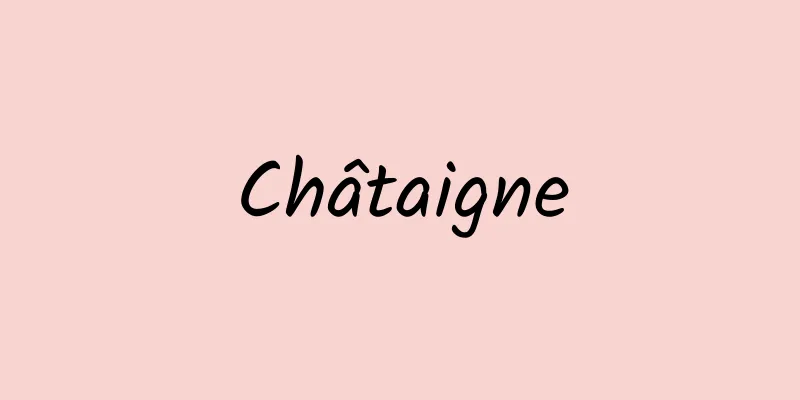 Châtaigne