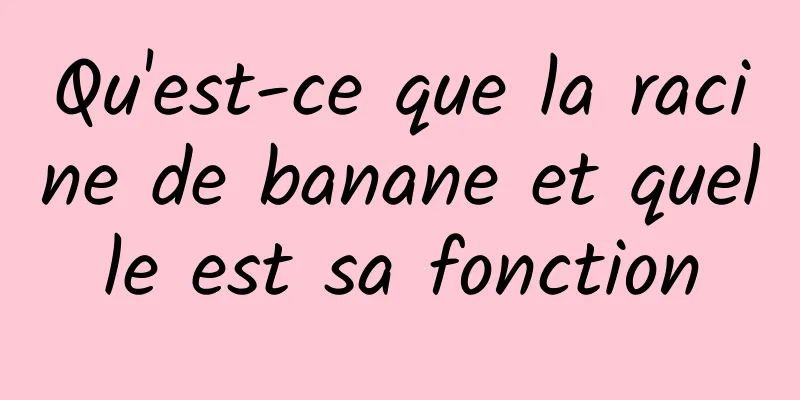 Qu'est-ce que la racine de banane et quelle est sa fonction