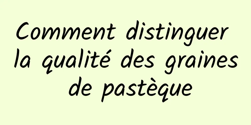 Comment distinguer la qualité des graines de pastèque