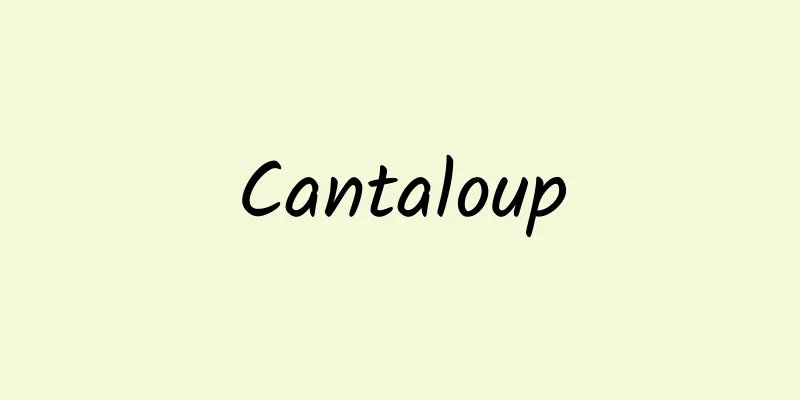 Cantaloup