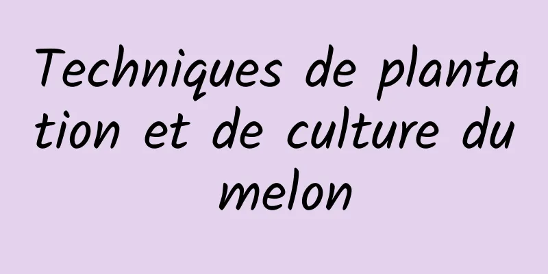 Techniques de plantation et de culture du melon