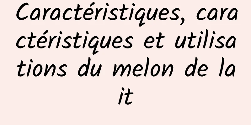 Caractéristiques, caractéristiques et utilisations du melon de lait