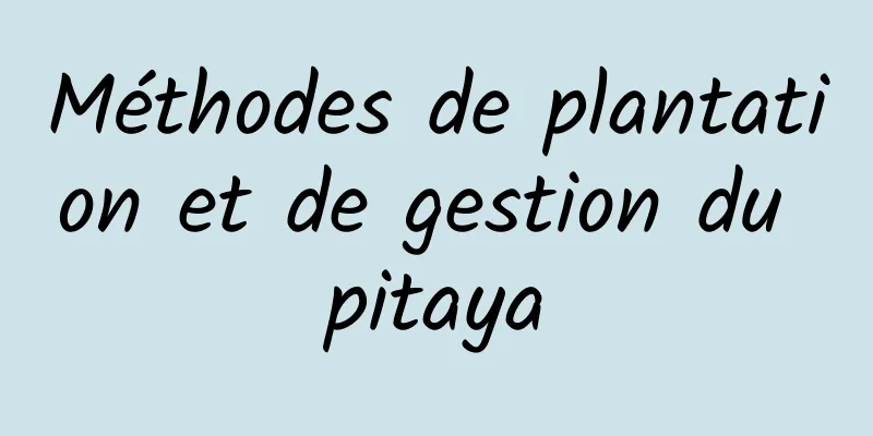 Méthodes de plantation et de gestion du pitaya