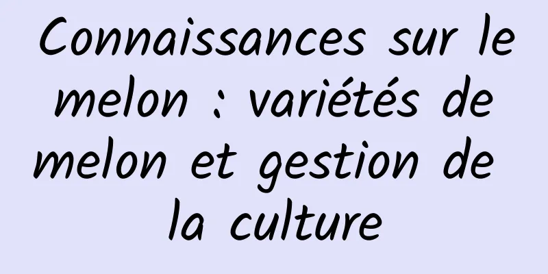 Connaissances sur le melon : variétés de melon et gestion de la culture