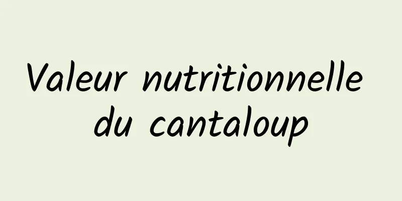 Valeur nutritionnelle du cantaloup