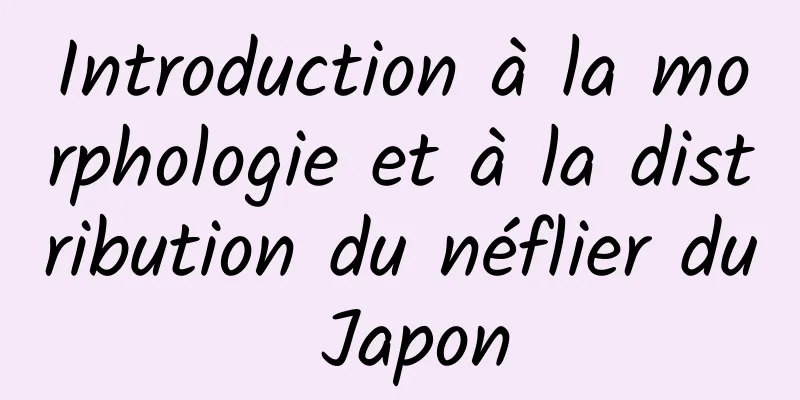 Introduction à la morphologie et à la distribution du néflier du Japon