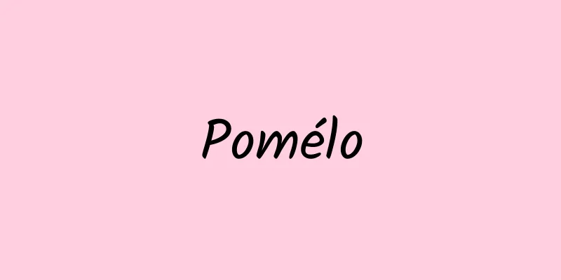 Pomélo