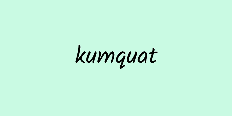 kumquat