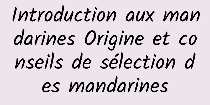 Introduction aux mandarines Origine et conseils de sélection des mandarines