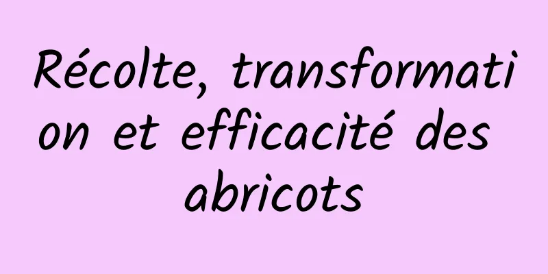 Récolte, transformation et efficacité des abricots