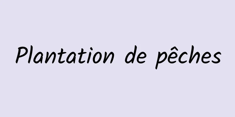 Plantation de pêches