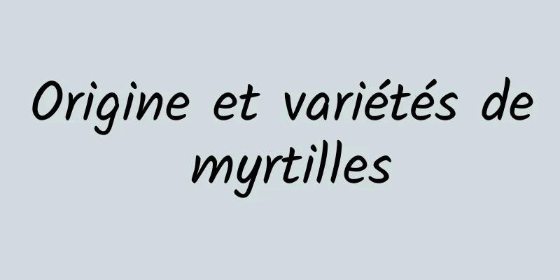 Origine et variétés de myrtilles