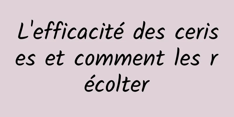 L'efficacité des cerises et comment les récolter