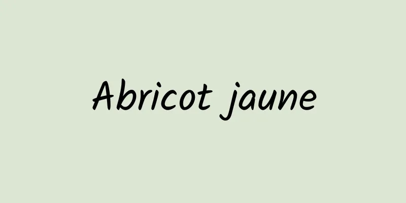 Abricot jaune