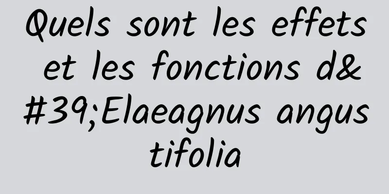 Quels sont les effets et les fonctions d'Elaeagnus angustifolia