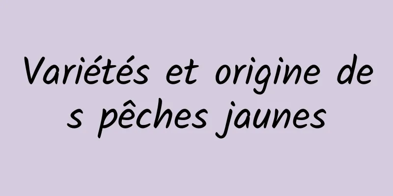 Variétés et origine des pêches jaunes