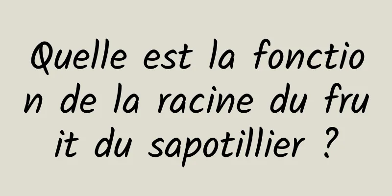 Quelle est la fonction de la racine du fruit du sapotillier ?