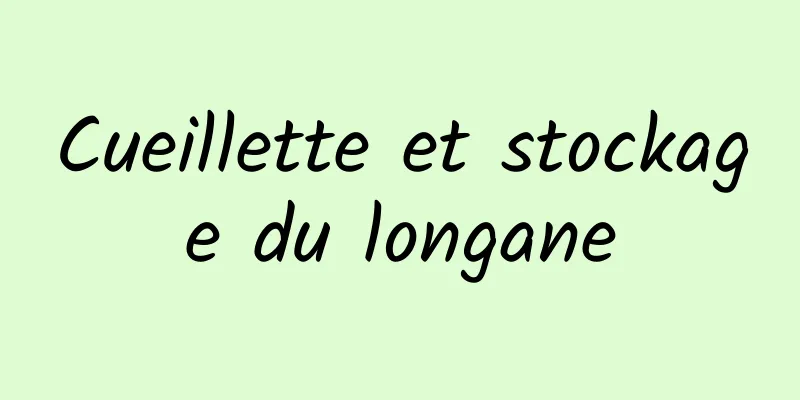 Cueillette et stockage du longane