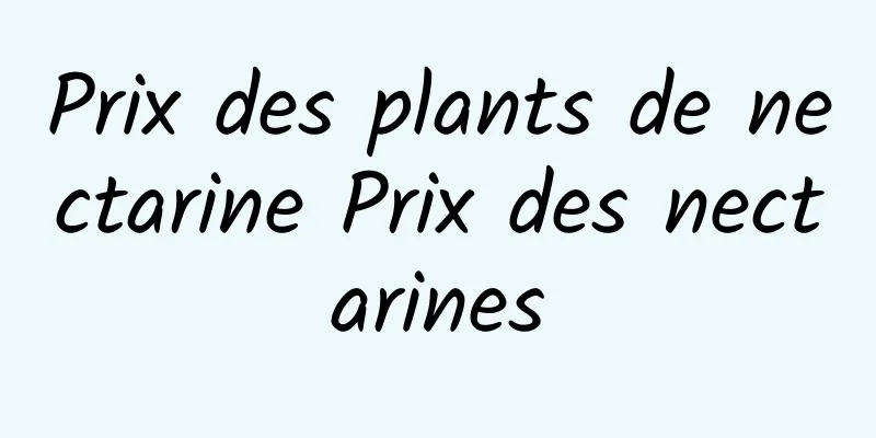 Prix ​​des plants de nectarine Prix des nectarines