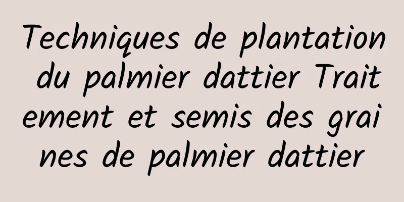 Techniques de plantation du palmier dattier Traitement et semis des graines de palmier dattier