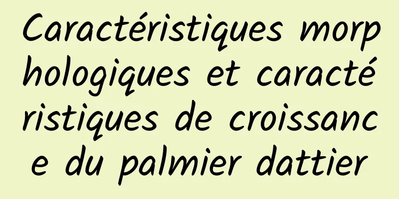 Caractéristiques morphologiques et caractéristiques de croissance du palmier dattier