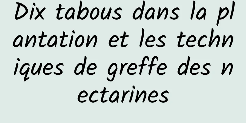 Dix tabous dans la plantation et les techniques de greffe des nectarines