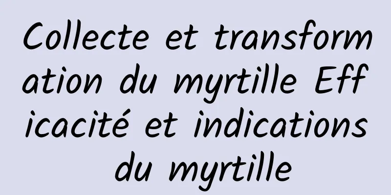 Collecte et transformation du myrtille Efficacité et indications du myrtille