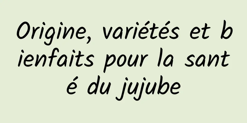 Origine, variétés et bienfaits pour la santé du jujube