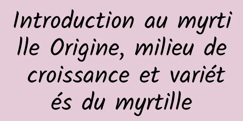 Introduction au myrtille Origine, milieu de croissance et variétés du myrtille