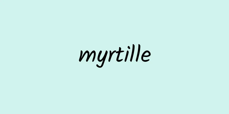 myrtille