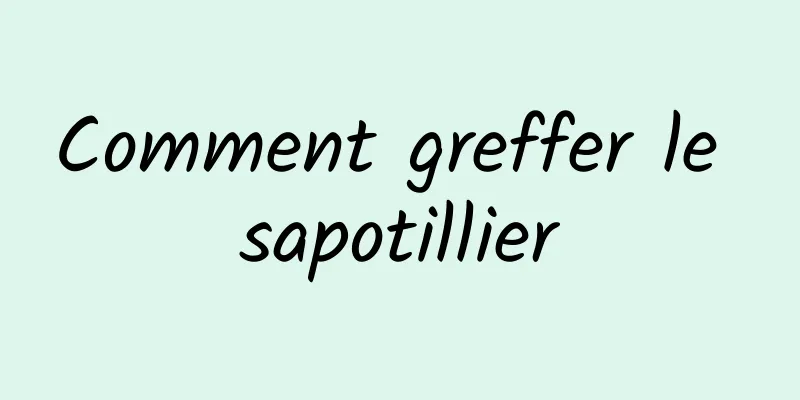 Comment greffer le sapotillier